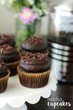 foodffs:  Mocha Cupcakes Really nice recipes. Every hour. Show me what you cooked! 