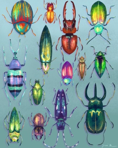 soft-stims:metallic / iridescent bugs for @rileyram12 x x x x x x