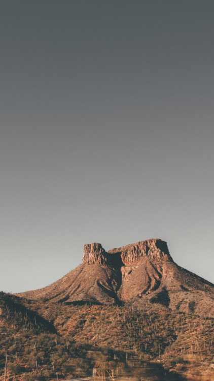 http://allergictoreality.tumblr.com/post/149788495892