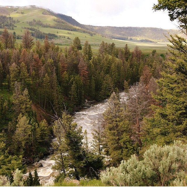 folklifestyle:
“Yellowstone. Photo by @lillylalaloulou #liveauthentic
”