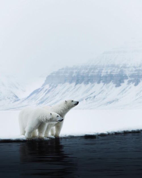 utwo:  Beautiful Greenland by :© Hannes Becker