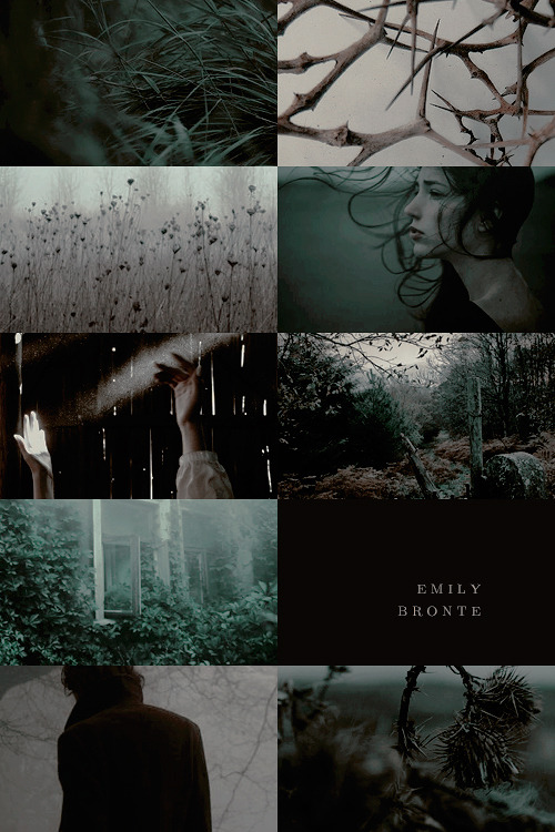 darrenjolras: LITERATURE AESTHETICS — wuthering heights, emily brontë         “I have dreamt in my life, dreams that have stayed with me ever after, and changed my ideas; they have gone through and through me, like wine through water, and altered