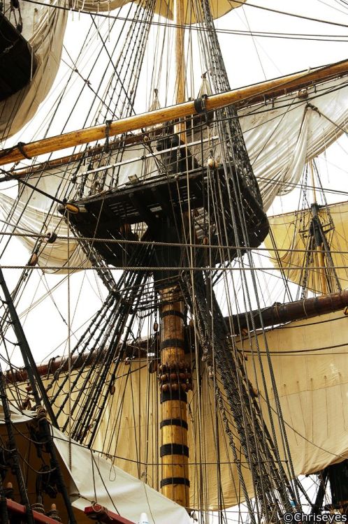 hms-surprise:    Grand mât du “Götheborg”  