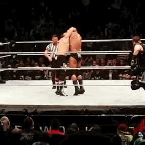 unstablexbalor:Sami giving Triple H the crotch chop is the only reason why I giffed