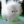 interdimensionalspaceworm:going insane looking at the wiki page for cacti. when does