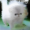interdimensionalspaceworm:going insane looking at the wiki page for cacti. when does