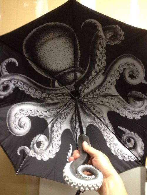 alexicalgap: brain-confetti: Hmm. Do I need a $35 umbrella? No. But, yes. O.o
