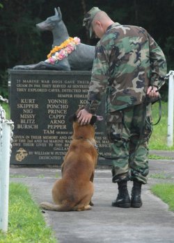 spicyrunnergirl:  huffingtonpost:  Happy Memorial day to all the men, women and dogs who have died for this country. Thank you for your service. (Source: Imgur)  Thank you to all past, present, and future military members for serving our country. 🇺🇸