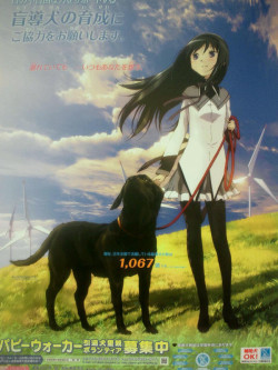 seyiku:  homora-chan:  Official art of Homura with a dog  Here we see Homura and her dog, Homura-Dawg 