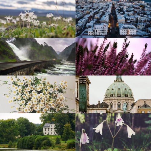 Nordics (minus Finland) + National Flowers{Iceland-Mountain Avens, Norway-Purple Heather, Denmark-