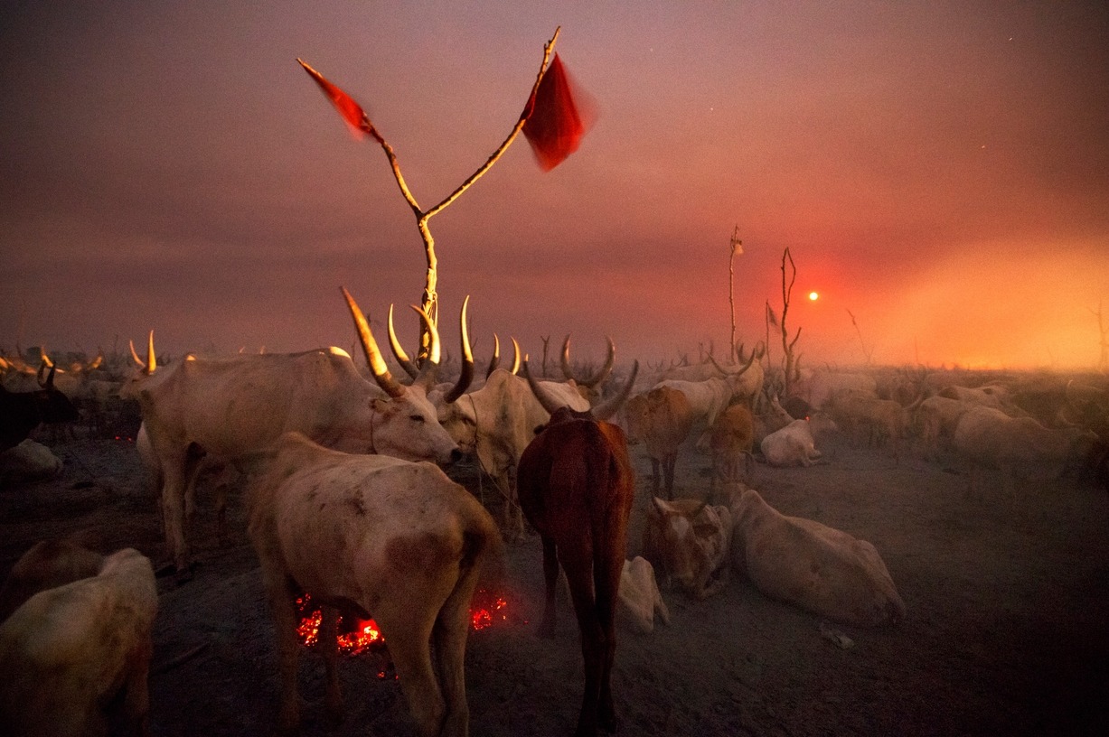 rebelbits:  Sudan (Kazuyoshi Nomachi) 