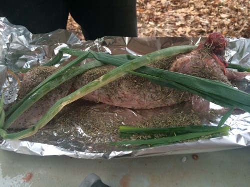 The reality of meat.Five rabbits butchered, one slow cooked in a pit fire with homegrown onion