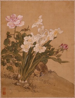 heaveninawildflower: ‘Bird Beneath a Narcissus Plant and Blossoming Rose Bush’ (Chinese, circa  1760  ). Silk painting by Shen Quan (1682–about 1760). Image and text courtesy MFA Boston. 