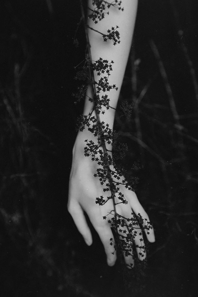 leirelatent:  Anna O.: I feel you on my body, give me shelter and show me heart.