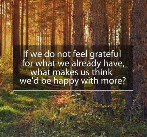 the-redheaded-harlot:  Start each day with gratitude.
