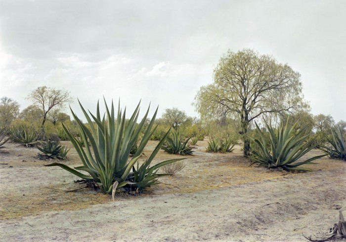 dirtycartunes:  by Adam Bartos 