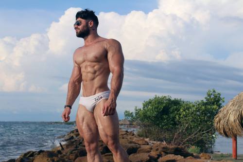 whitepapermuscle:  Alexander Rendon