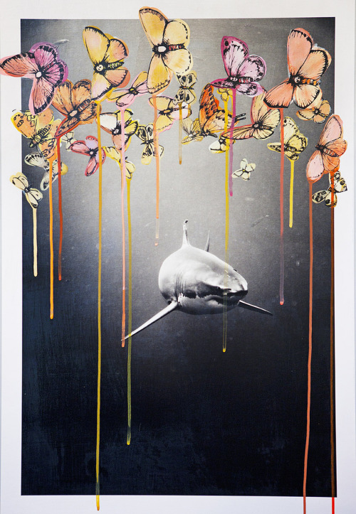 fer1972:  Michael Muller