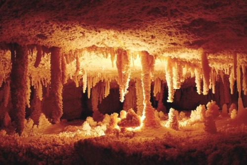 This Texas cave network is home to some of the world’s most spectacular-looking and bizarrely named mineral formations. The caverns of Sonora were discovered by accident in 1905 on ranch land. But it took a few more decades for professional...