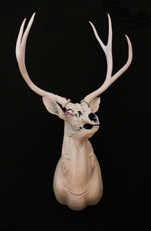 socialpsychopathblr:Chris Haas sculpts and embellishes animal skulls into mystical creatures.