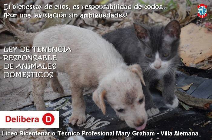 everything-is-forgotten:  K-BROZ DE TUMBLR, NESECITO SU AYUDA :cPueden meterse &ldquo;AQUI&rdquo;  y