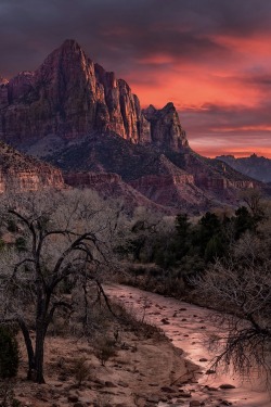 robert-dcosta:  The Watchman At Zion National || © || Instagram || Facebook || RD