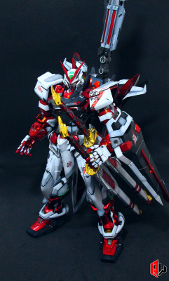 gunjap:  Quadsodx Workz PG Astray Red Frame