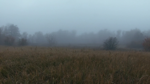 barcarole:      Yesterday I went out for a walk, and was suddenly overcome with an inexplicable urge: I took my shoes off and walked barefoot on the cold earth… Andrey Tarkovsky. A Cinema Prayer, dir. Andrei Tarkovsky Jr., 2019. 