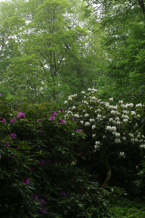 XXX 90377:   A cloudy day at the local park by photo