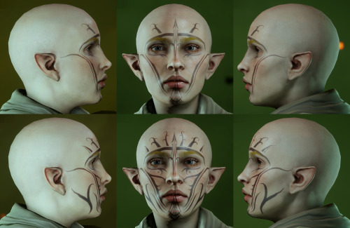 becausedragonage:  becausedragonage:  hey-lavellan:  I don’t know if this has already been done but I’ve seen several people in the last couple of days asking around for a good reference of all the vallaslin in the game so I put this together. All