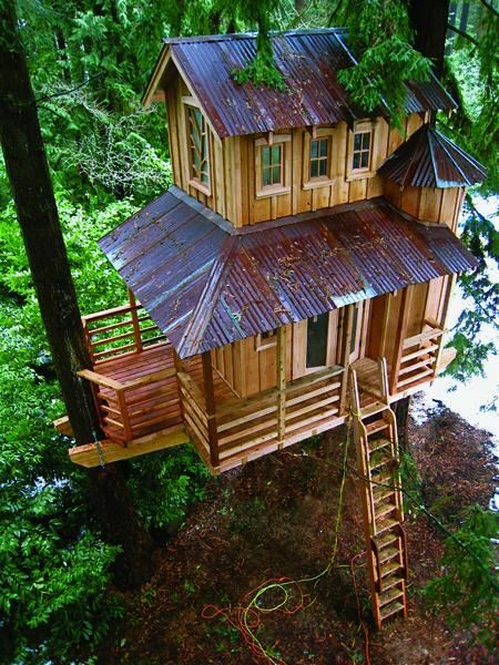 flowersgardenlove:  TREE HOUSE – amazing Beautiful gorgeous pretty flowers  Look!! A book nook. Only accessible by a ladder that can conveniently be pulled up to prevent book nook invaders. Heehee, kidding. I will totally let you come up if you have