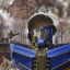 sentinelsbetterhalf