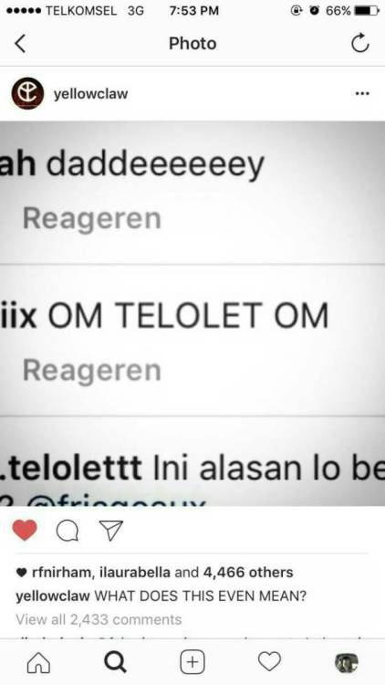 athalia-cavallone: OM TELOLET OM 