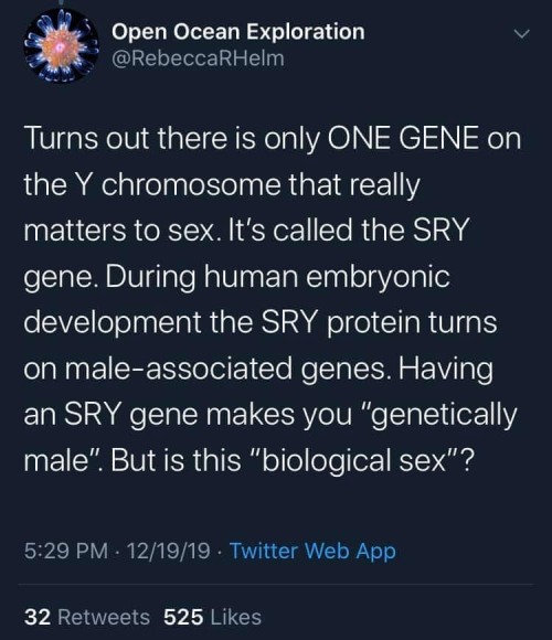 babygirl-1972:  antifainternational:“There are only two genders!  It’s a biological