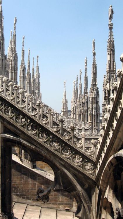 gertrudedats:  Milan Cathedral  is the cathedral church of Milan, Italy. Dedicated to St Mary of the Nativity (Santa Maria Nascente), it is the seat of the Archbishop of Milan, currently Archbishop Mario Delpini. The Gothic cathedral took nearly six