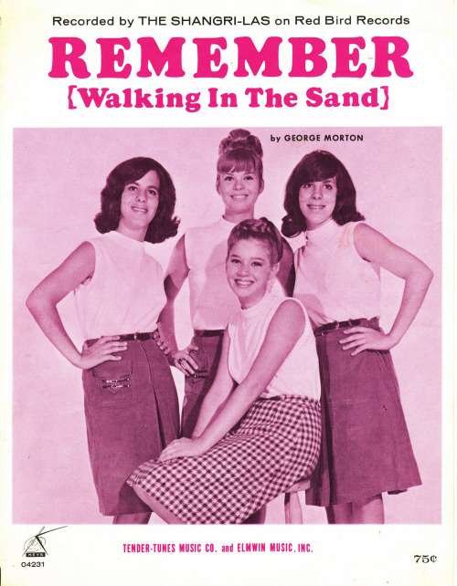 little-trouble-grrrl:  i love this photo of the shangri las