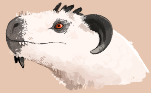 foulserpent:heres a more or less realistic solvejshes fluffy