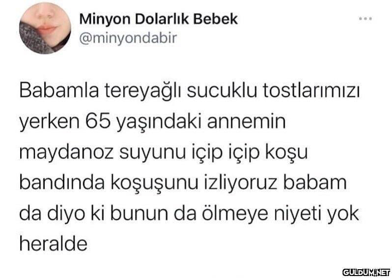 MAĞFLWÖĞEŞTĞEŞTĞWĞT ...