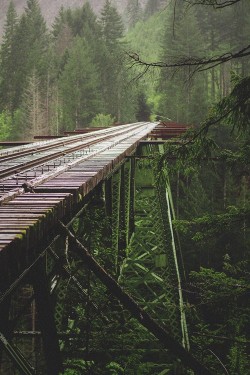 wonderous-world:  You should all go check out Rhianna Howard Photography! All of the photos she posts are taken by herself. She’s only 17 and takes breathtaking pictures like the ones above of Vance Creek, Washington. Her work deserves more exposure