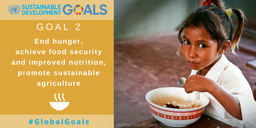 united-nations: End hunger. End poverty. These are just two of the 17 Global Goals for Sustainabl