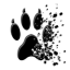 pixelpfote