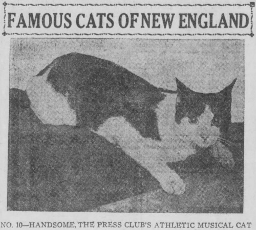 yesterdaysprint:Boston Post, Massachusetts, December 17, 1920