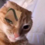 ren0-o