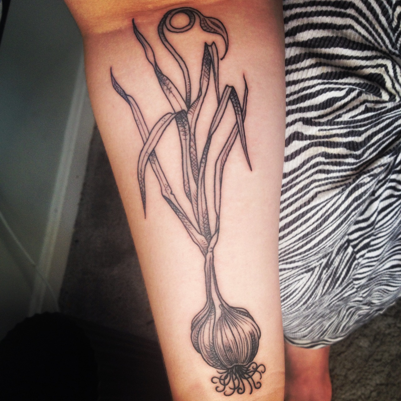  — My garlic plant done by Kyle Oxford at Read Street...