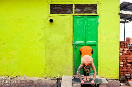 Kate, Ethan & Bodhi….family extrodonaire! In Mysore, India. Christine Hewitt © yogicphoto