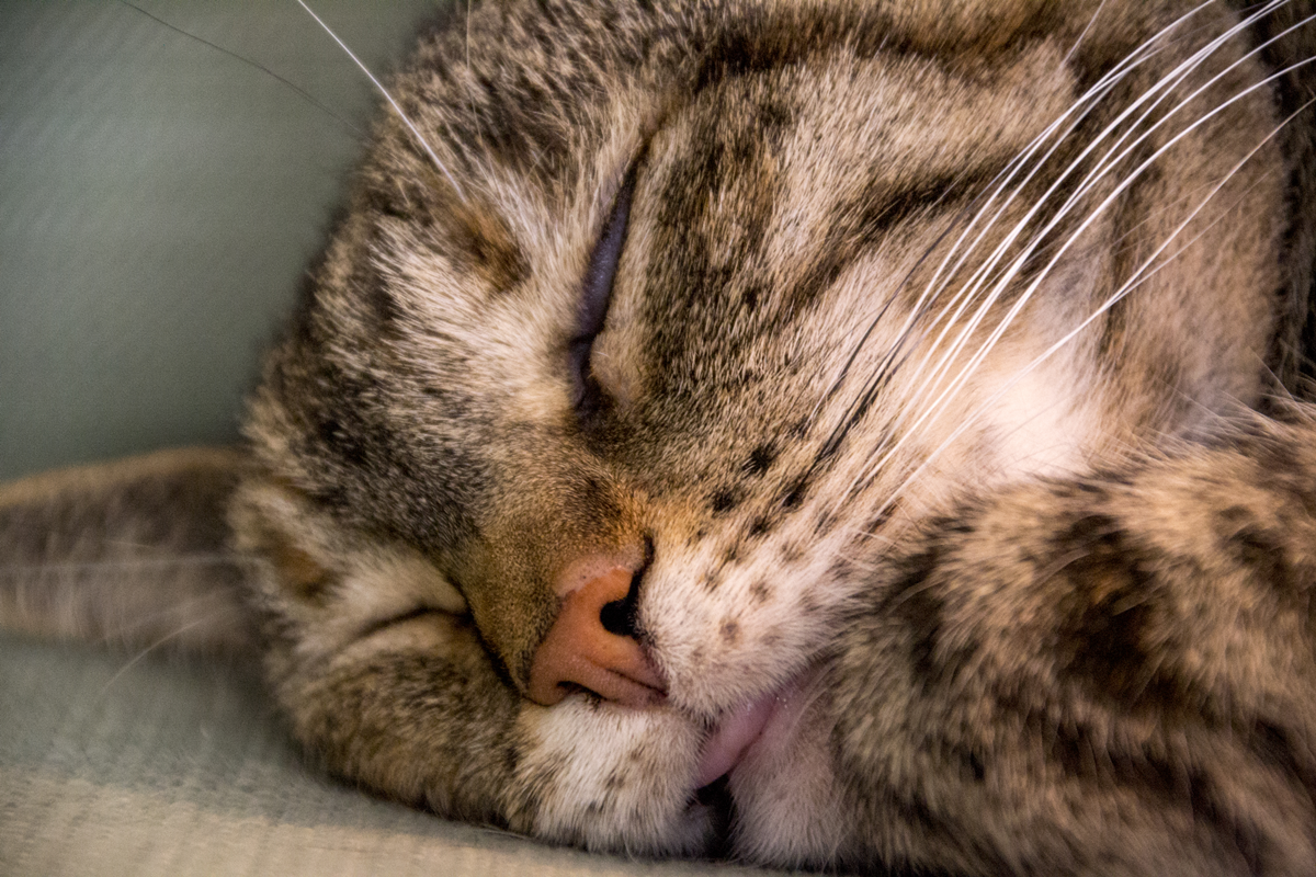 herm-a-lerm:  Bleeep~ 