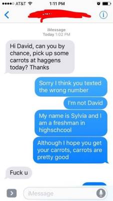lunamoonlc123: Someone texted me and had the wrong number. I tried to be polite but they would not believe I wasn’t David and was being rude.