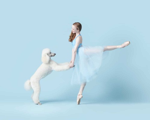 Kelly Pratt Kreidich and Ian Kreidich’s “Dancers &amp; Dogs” pairs professiona