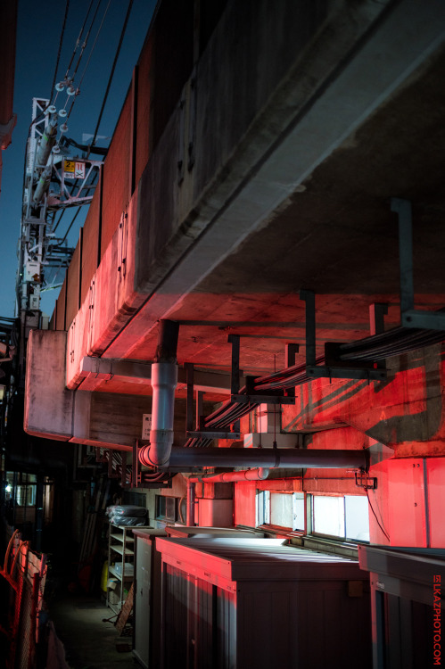 Red Concrete, Koenji 高円寺