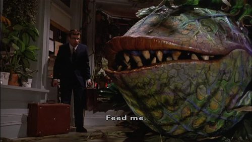 https://lifeunexpurgated.tumblr.com/post/171250387894